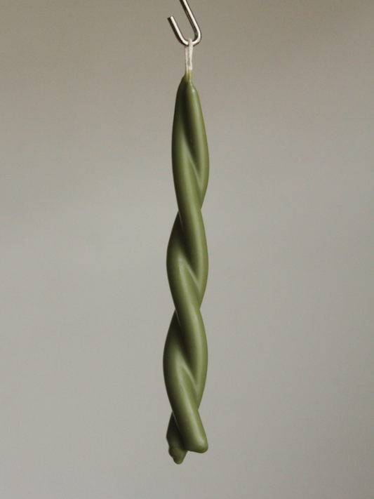 Twisted Candle-Moss